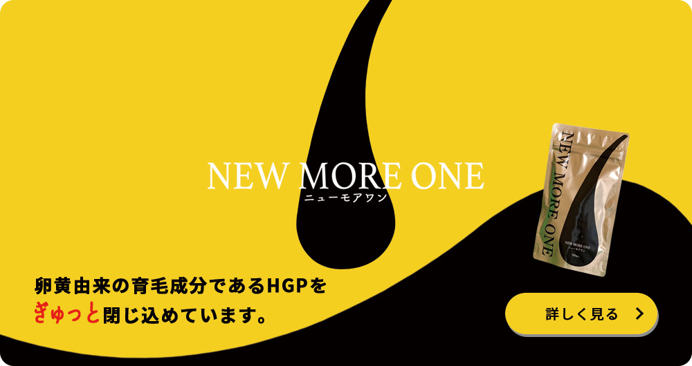 NEW MORE ONE（ニューモアワン）
